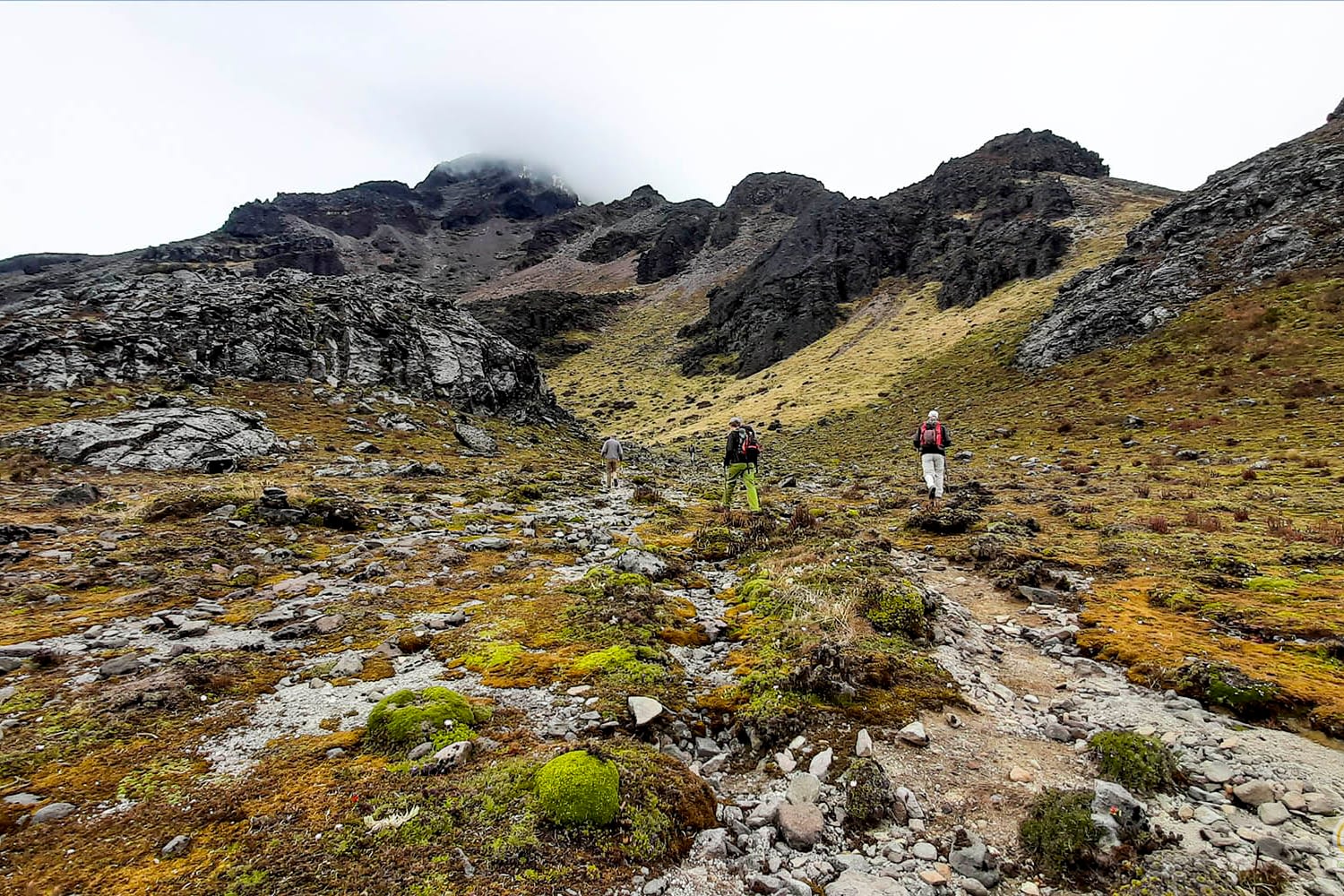 Climb Tours Cotacachi Volcano Ecuador otvalo crater high tours travelers trekking