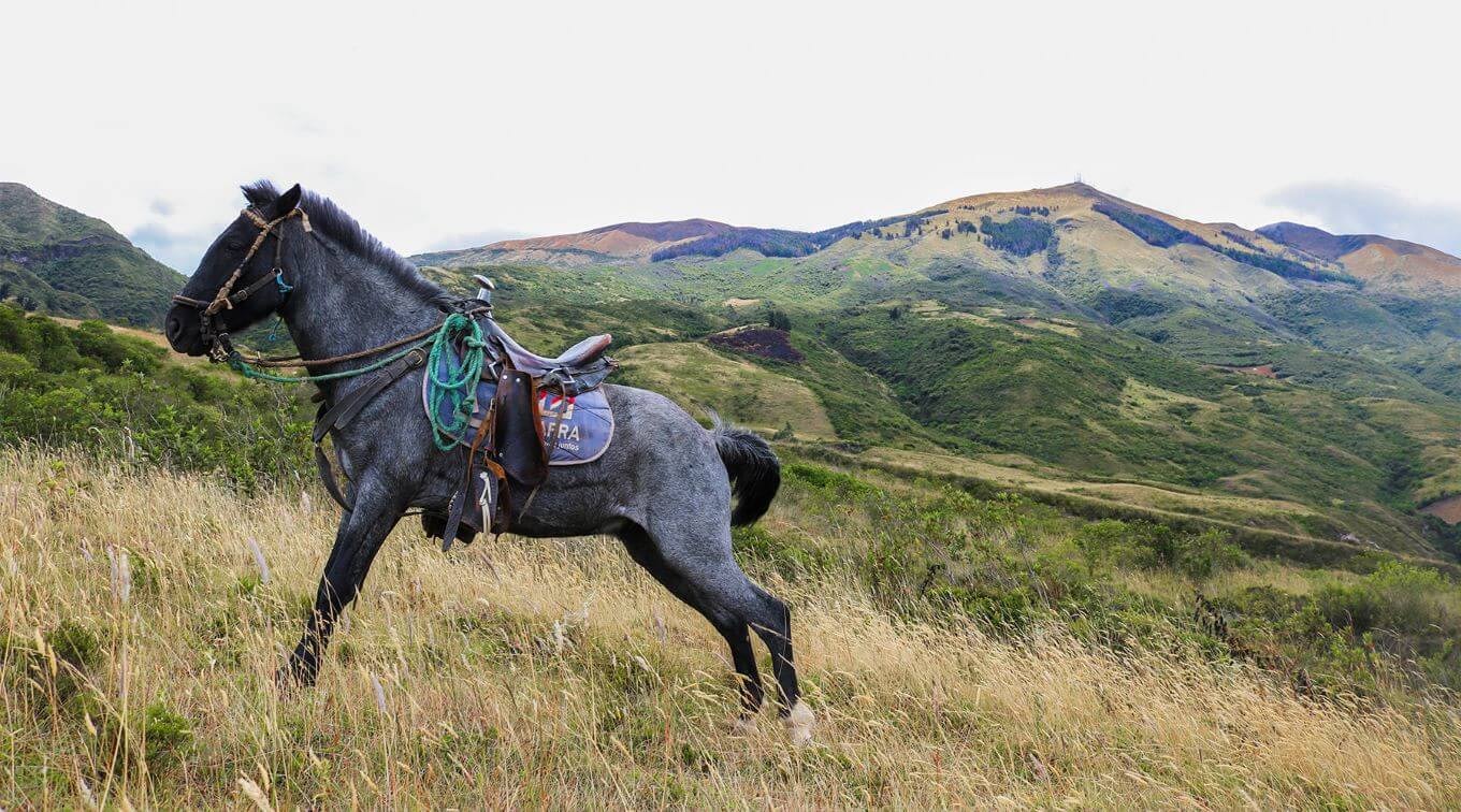 Horseback Riding at Calera Community in Ecuador caballos cuicocha (1)