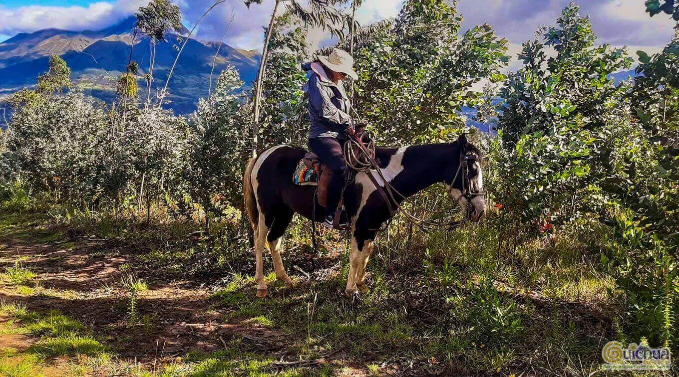 Best Horseback Riding to Cuicocha tour in Ecuador