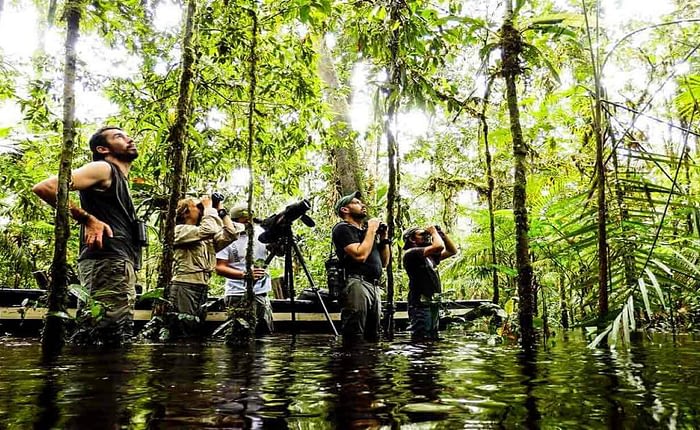 Cuyabeno Amazon Jungle Tours 4 days Ecuador