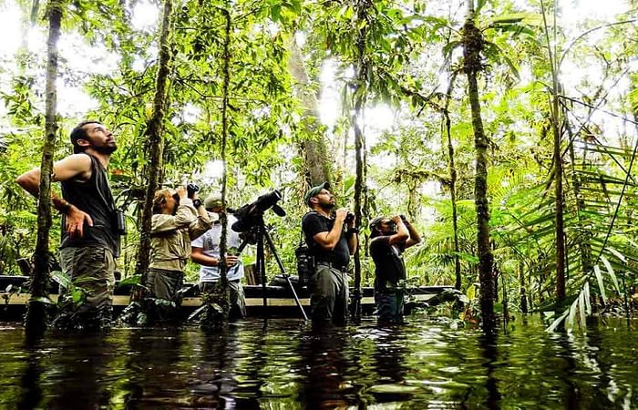 Cuyabeno Amazon Jungle Tours 4 days Ecuador